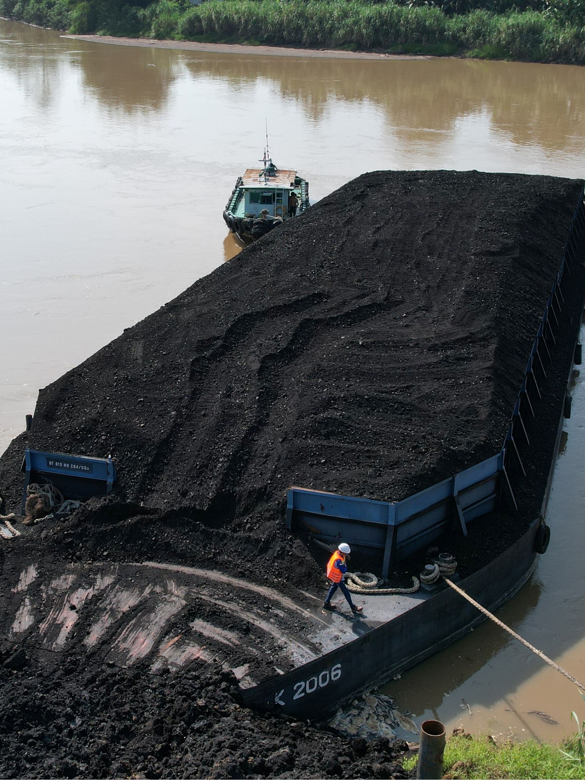 Main_Business PINUS_Edited