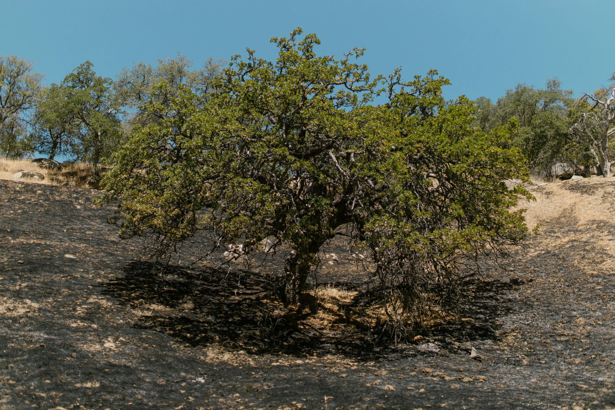 Reclamation_Business PMI